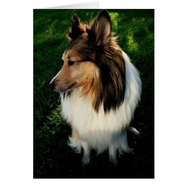 Maggie Card 2 (Front)