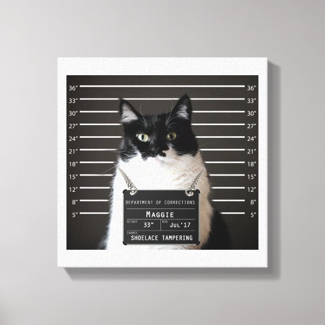 Maggie Cat Mug Shot Canvas Print (Front)