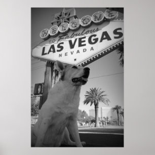 Maggie - Las Vegas Sign
