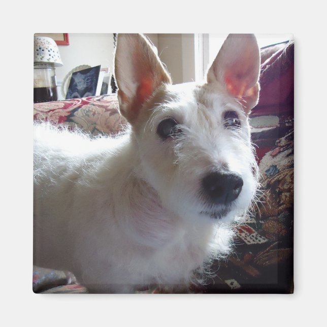 Maggie Mae Magnet (Front)