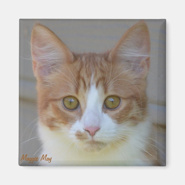 Maggie May Magnet (Front)