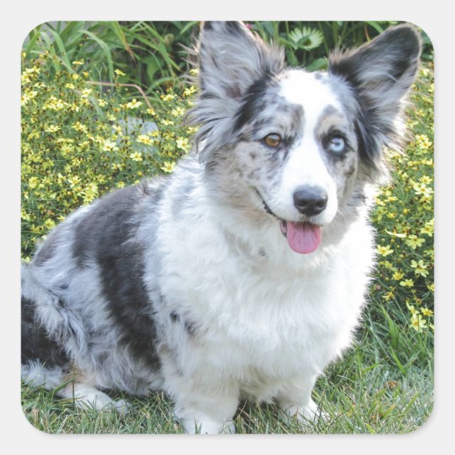 Maggie Mine Square Sticker (Front)