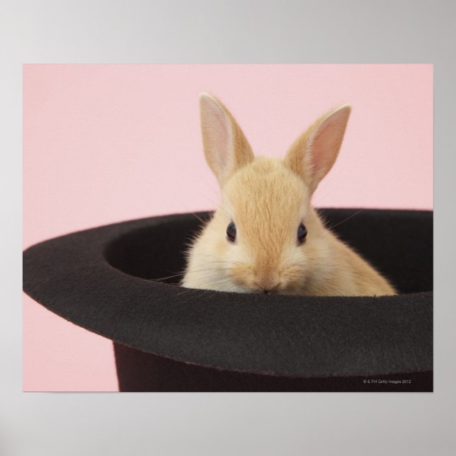 Magic Bunny Poster (Front)