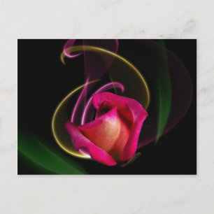 Magic Carousel Rose Postcards