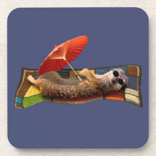 Magic Carpet Ride Set of 6 Coasters
