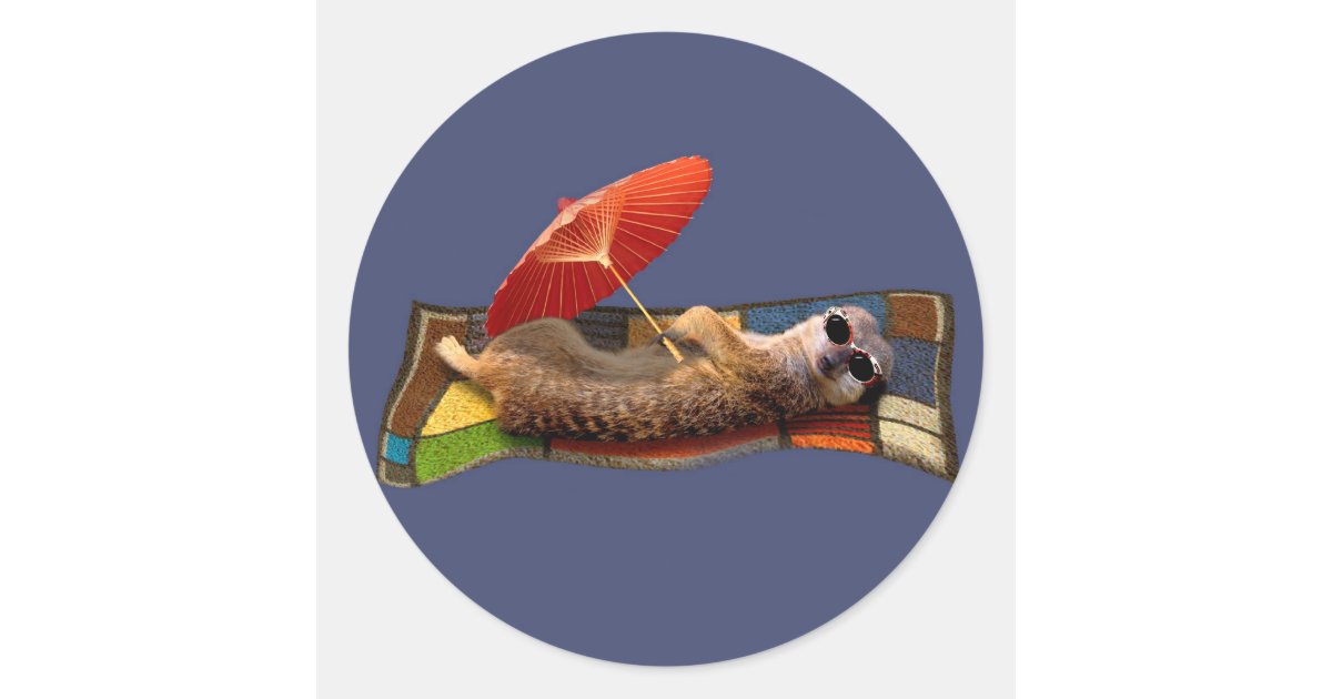 Magic Carpet Sticker Magic Carpet Ride Sticker | Zazzle