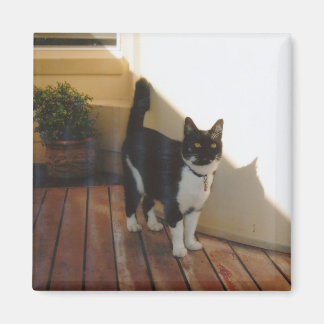 Magic Cat - Customised Magnet