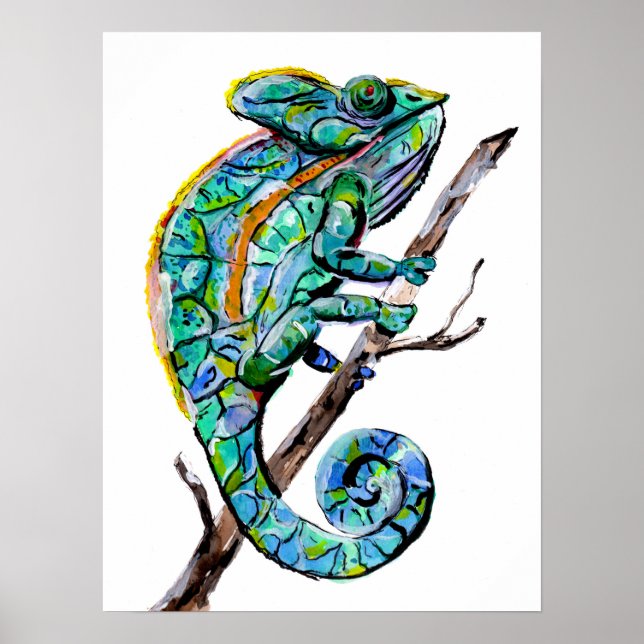 Magic Chameleon Poster (Front)