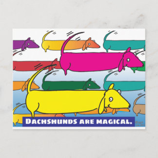 Magic Dachshunds Postcard