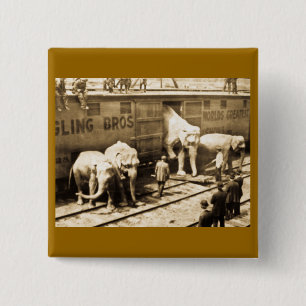 Magic Lantern Slide Ringling Bros Elephant Train 15 Cm Square Badge