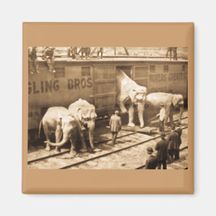 Magic Lantern Slide Ringling Bros Elephant Train Magnet