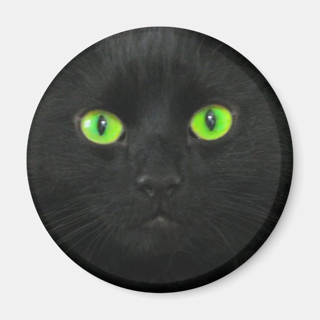 Magic Magnet (Front)