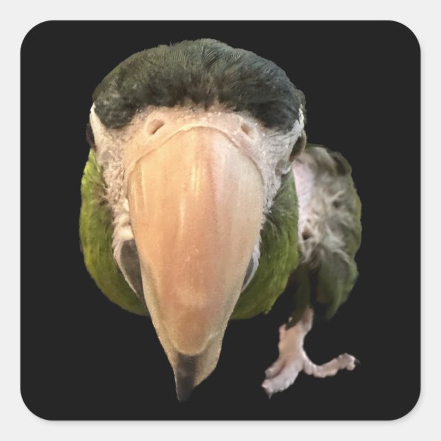 magic mikey super stickers (Front)