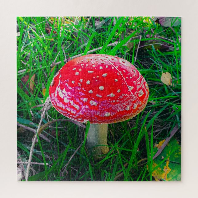 Magic Mushroom Fungi Red Nature Scenic Outdoor Jig Jigsaw Puzzle (Vertical)