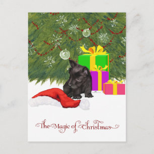 Magic of Christmas Holiday Postcard