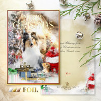 Magic Pets Christmas, Blue Merle Collie & Kitten -