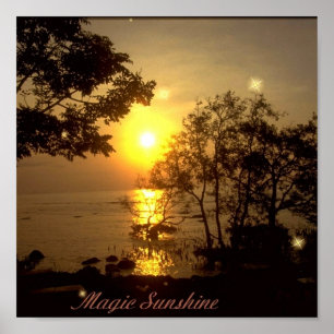 Magic Sunshine Poster