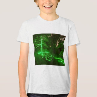 Magic tree 11 Tri-Blend shirt