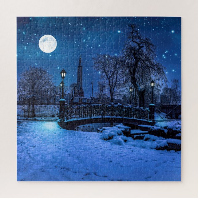 Magic winter night with starry sky and full moon jigsaw puzzle (Vertical)