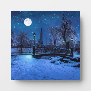 Magic winter night with starry sky and full moon plaque