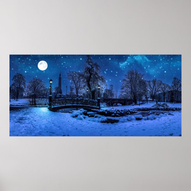 Magic winter night with starry sky and full moon poster (Front)