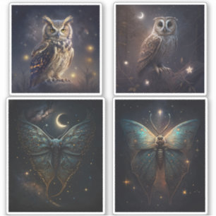 Magic woodland owl. Mystic night moth butterfly