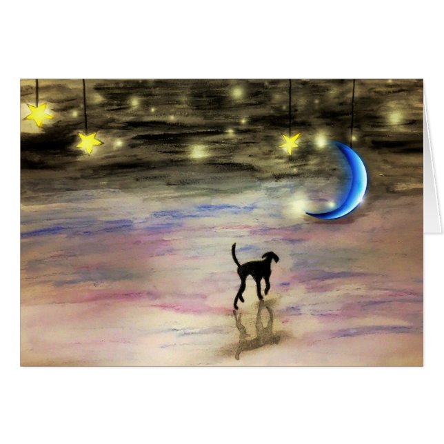 Magical (Front Horizontal)