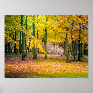 Magical autumn forest poster