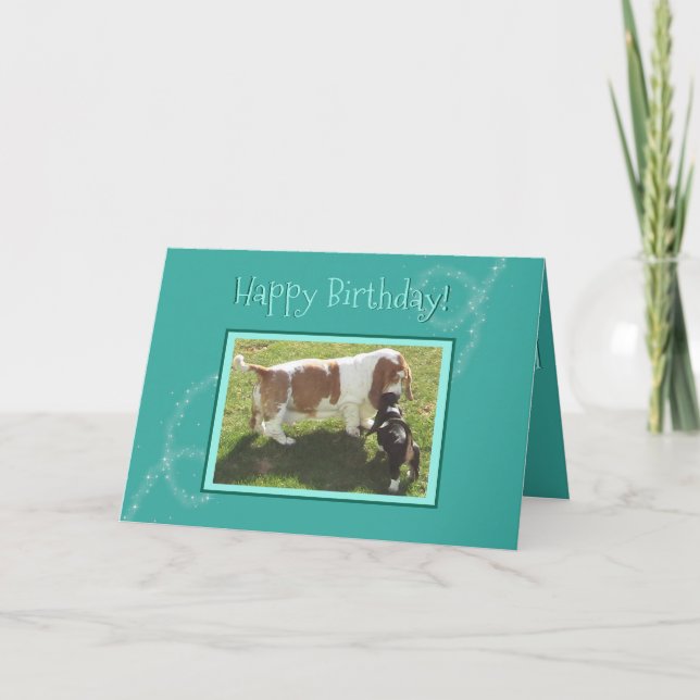 Magical Birthday Card W/Basset Hounds (Front)