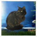 Magical Black Cat Ceramic Tile<br><div class="desc">Decorative ceramic tile with magical black cat design.</div>