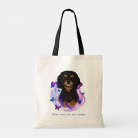 Magical Black & Tan Cavalier King Charles Spaniel 