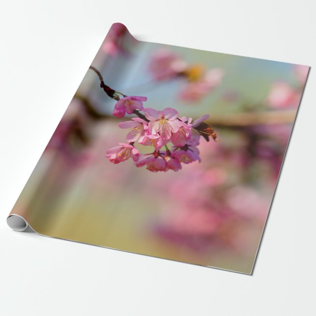 Magical Colours Of The Sakura Garden Wrapping Paper (Unrolled)
