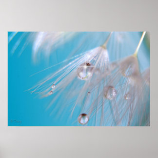 Magical Dandelions Poster