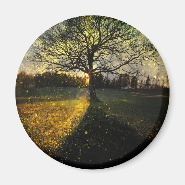 Magical fireflies dreamy landscape magnet (Front)