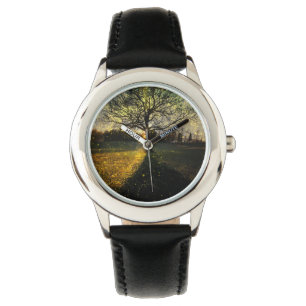Magical fireflies dreamy landscape watch