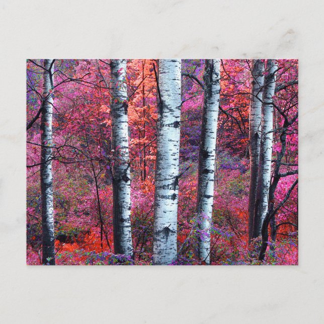 Magical Forest Postcard (Front)