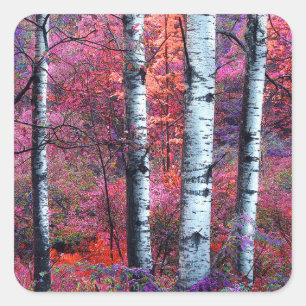 Magical Forest Square Sticker