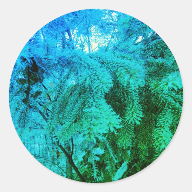 Magical Frozen Fir Tree Twigs in a Winter Forest Classic Round Sticker (Front)