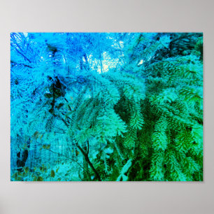 Magical Frozen Fir Tree Twigs in a Winter Forest Poster