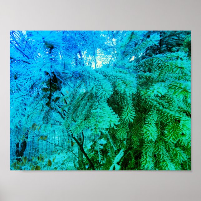 Magical Frozen Fir Tree Twigs in a Winter Forest Poster (Front)