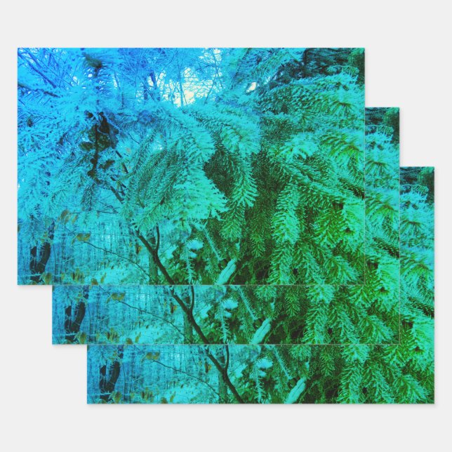 Magical Frozen Fir Tree Twigs in a Winter Forest Wrapping Paper Sheet (Set)