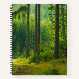 Magical green forest path trees mist  notebook