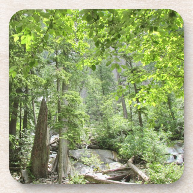 Magical Green Forest Scene.   Coaster (Front)
