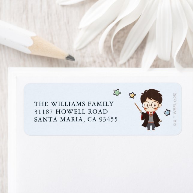 Magical HARRY POTTER™ and Hogwarts Birthday (Insitu)