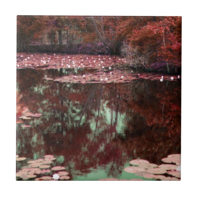 Magical Landscape Tile (Front)