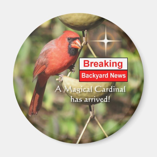 Magical Male Cardinal Magnet (Front)