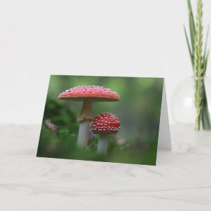 Magical Mushrooms Greeting Card