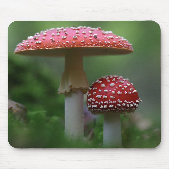 Magical Mushrooms Mouse Mat (Front)