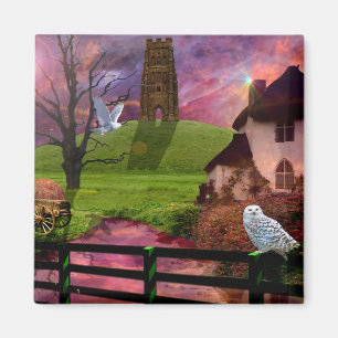 Magical mystery tor... magnet