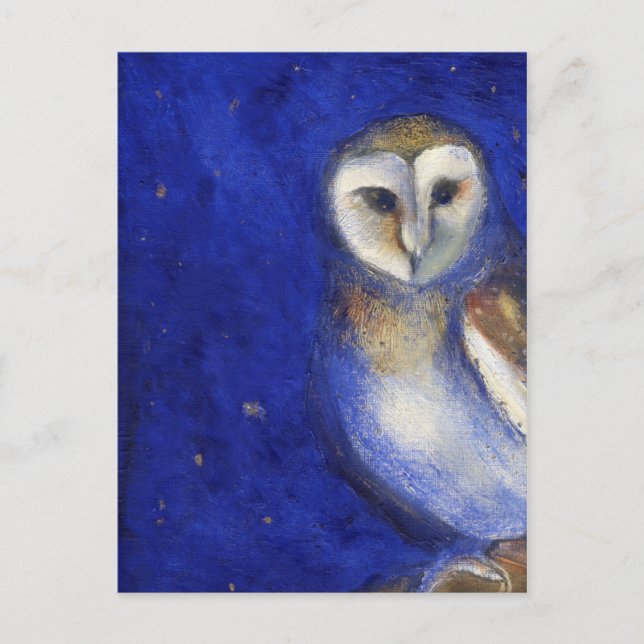 Magical Night 1 2013 Postcard (Front)